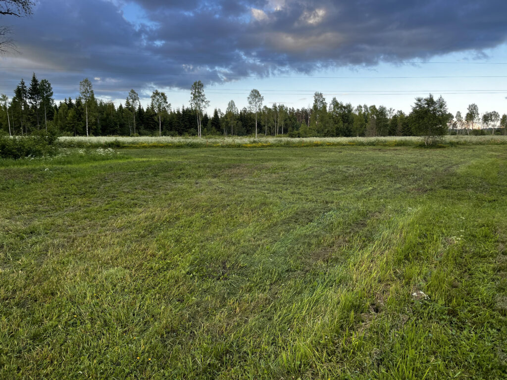 niidetud